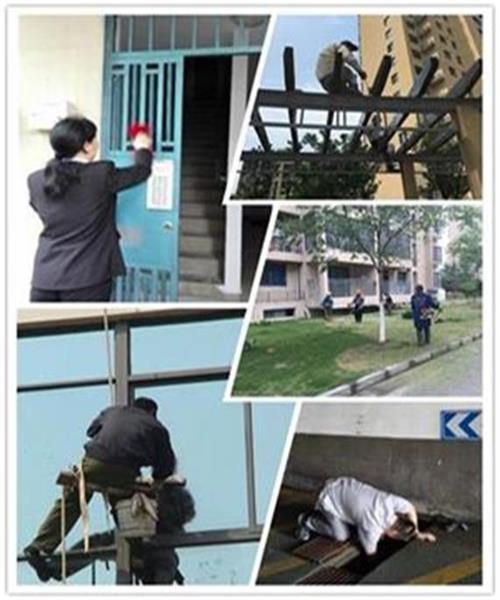 創(chuàng)平安、美麗家園